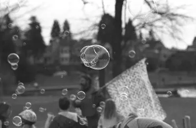 Kitsap Library photo 46 of 50