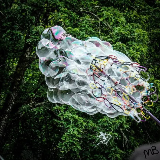 Gallery photo 59 of 103, by Melissa Buss